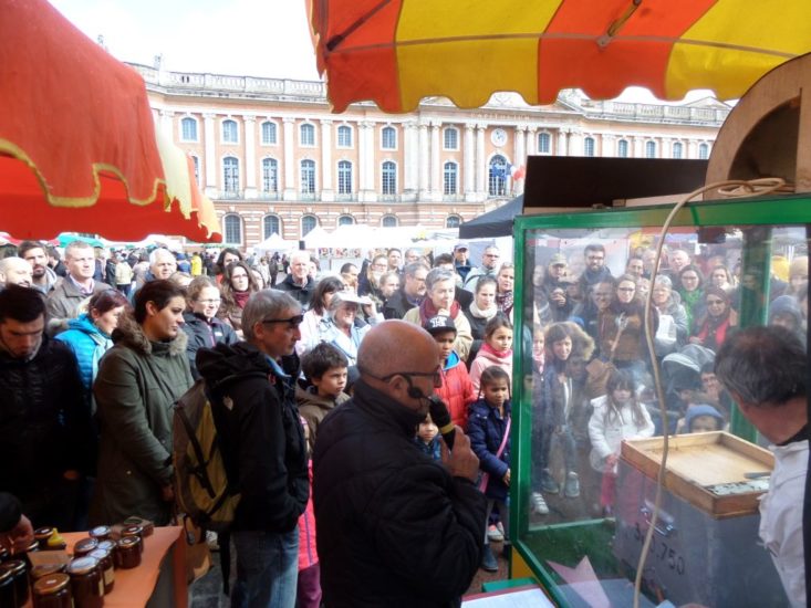 Foire Ô Miel de Toulouse 2017