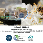 Soirée mensuelle d’octobre : Impact de Nosema ceranae sur la santé des abeilles