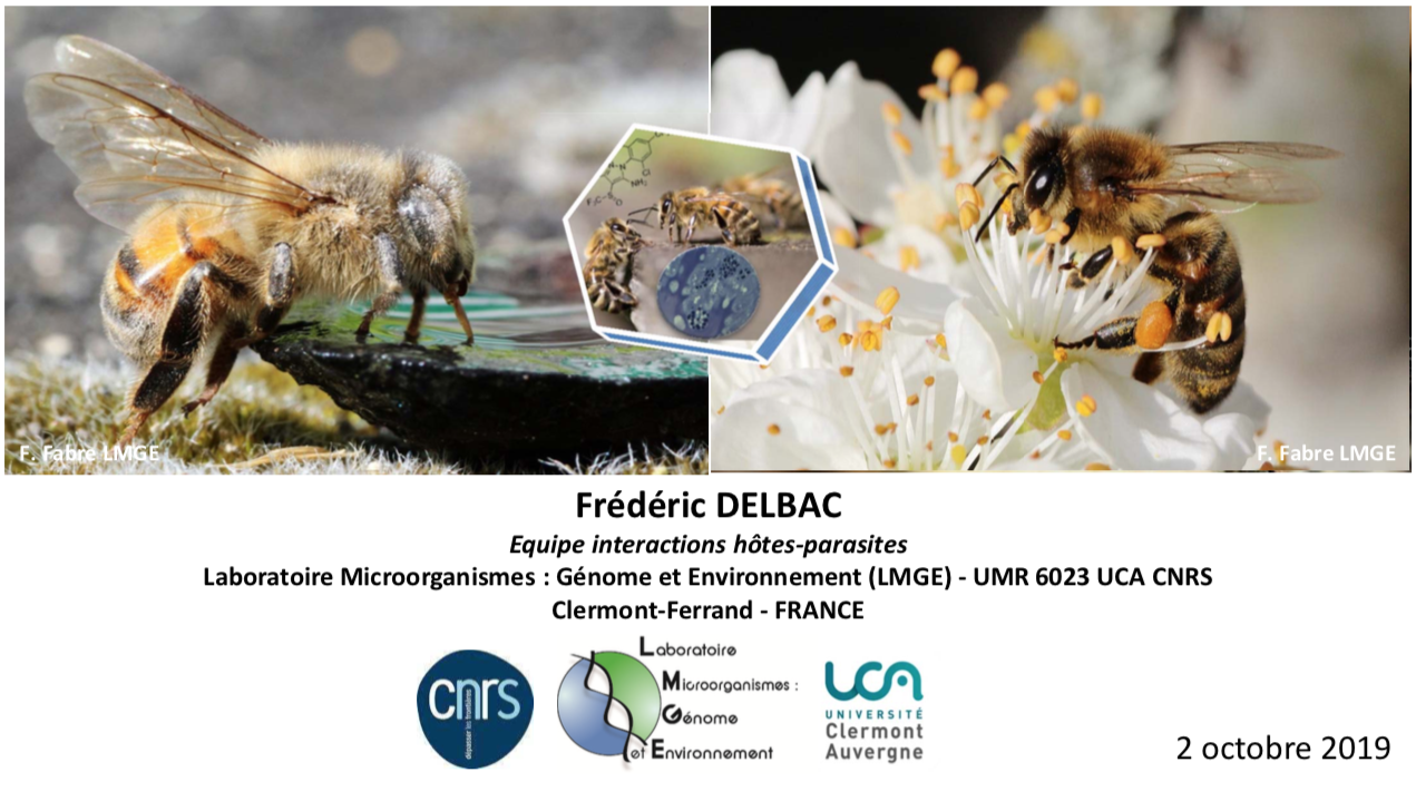 Soirée mensuelle d’octobre : Impact de Nosema ceranae sur la santé des abeilles