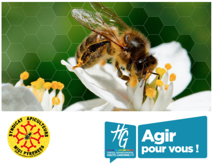 Soirée mensuelle avec Jean-Claude Ameisen « Abeilles, merveilleuses abeilles »