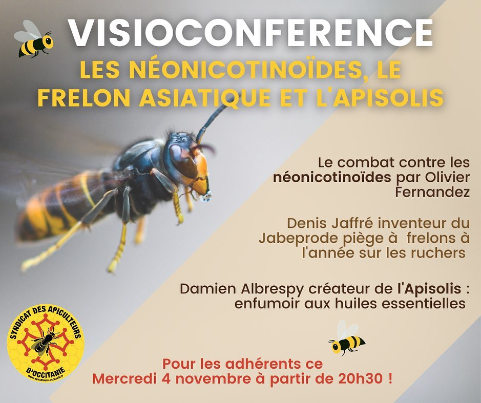 Visio-Conférence mensuelle : Les néonicotinoïdes, le frelon asiatique et l’Apisolis.
