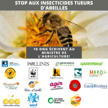 Neonicotinoïdes: 18 ONG écrivent au ministre de l’Agriculture sur les insecticides tueurs d’abeilles
