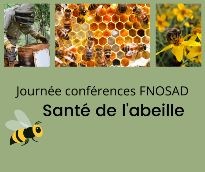 Santé de l’abeille-FNOSAD