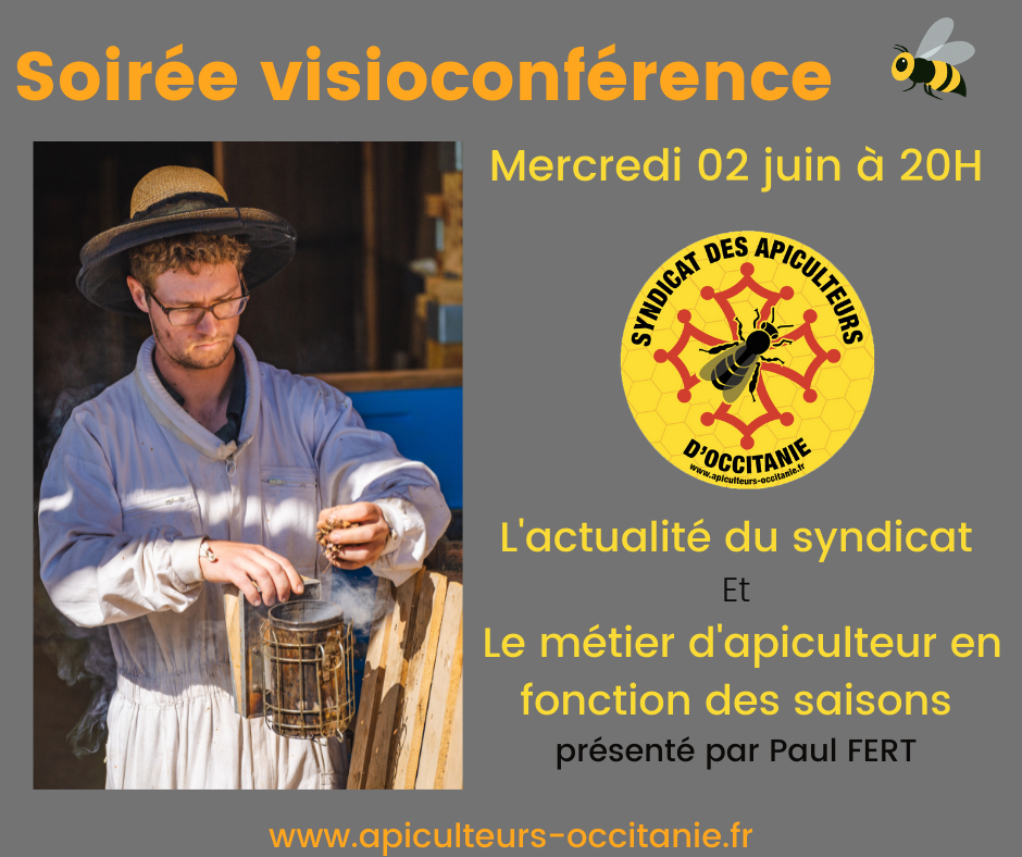 Soirée visioconférence