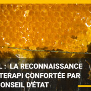 Miel: la reconnaissance d’Interapi confortée par le Conseil d’Etat