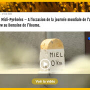 19/20 – Midi-Pyrénées – A l’occasion de la journée mondiale de l’abeille, interview au Domaine de l’Houme.